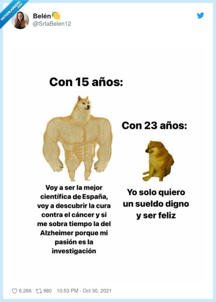 doge,cheems,investigación,motivación,feliz,sueldo