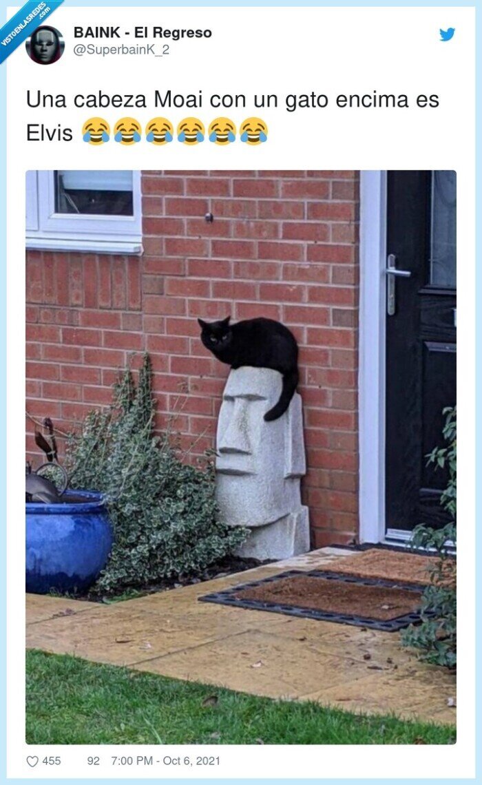 cabeza,encima,elvis,moai,gato