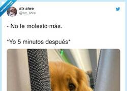 Enlace a Aloooo, por @atr_ahre