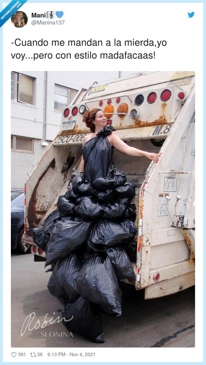 contenedor,camion de la basura,basura,bolsas,vestido