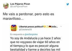 Enlace a Por Zaragoza se ha escuchado un estruendo... supongo que del tortazo que se ha llevado. ¿Alguien más lo ha escuchado?, por @LosPajarosPican