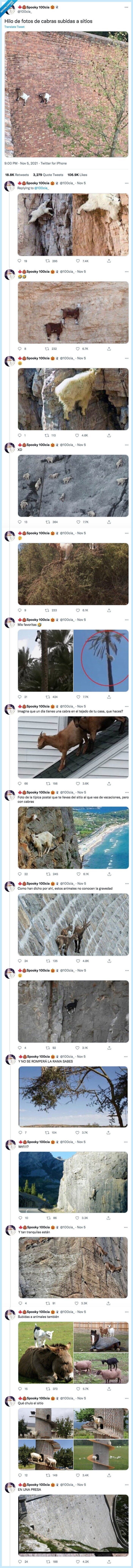 subidas,cabras,sitios,fotos