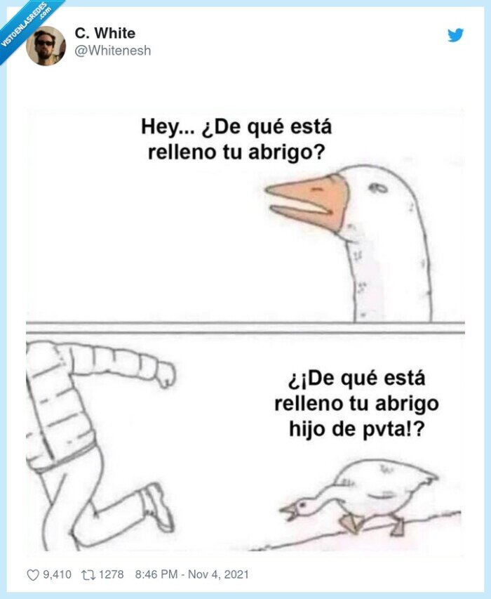 plumas,pato,abrigo,ganso,seguir