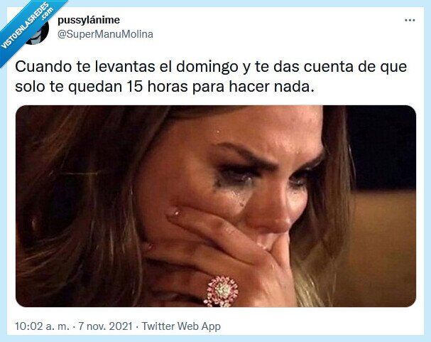 domingo,levantarse,nada