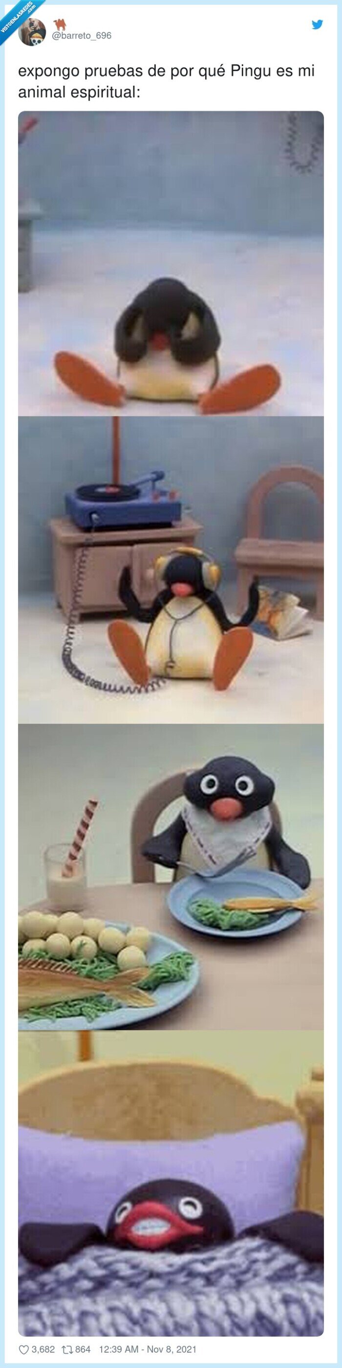 animal espiritual,expongo,pruebas,pingu