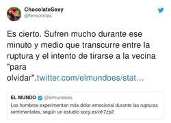 Enlace a Eso si no se la estaban tirando ya porque se veían a venir la ruptura, por @fenixzintas