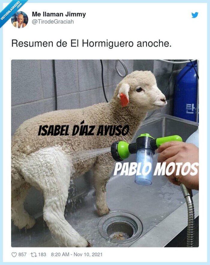 hormiguero,resumen,blanqueamiento,isabel diaz ayuso