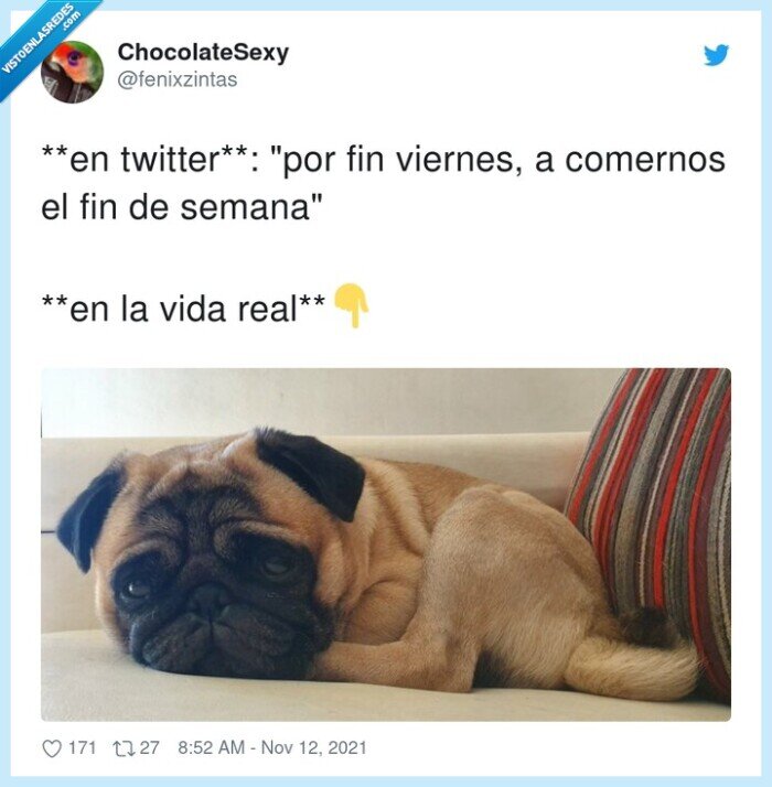 viernes,comernos,fin de semana,cansado
