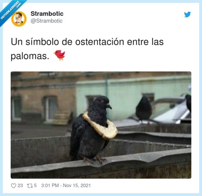 ostentación,símbolo,palomas