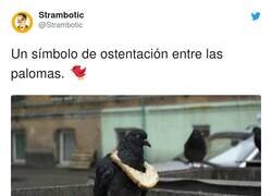 Enlace a Tiene cara de querer dominar el mundo, por @Strambotic