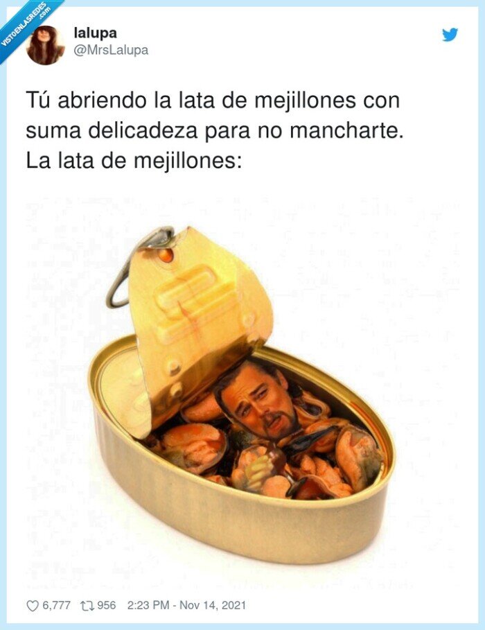 delicadeza,mejillones,mancharte,abriendo,lata