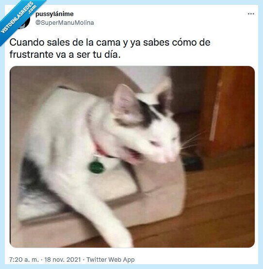 frustrante,cama,día,salir