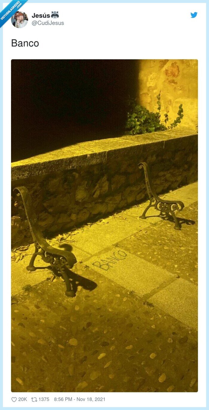 patas,desaparecido,banco