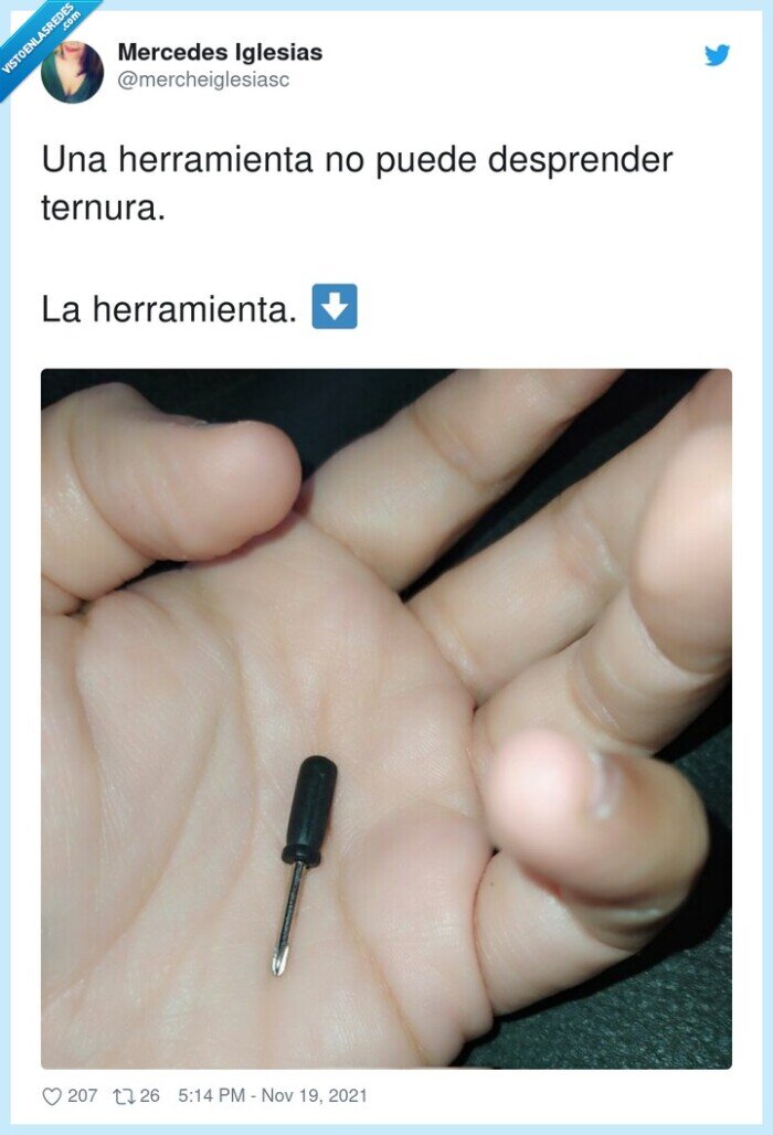 herramienta,desprender,ternura,minidestornillador