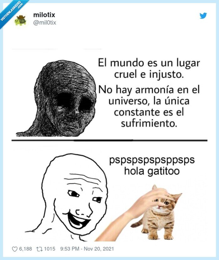 gatito,armonía,universo,sufrimiento