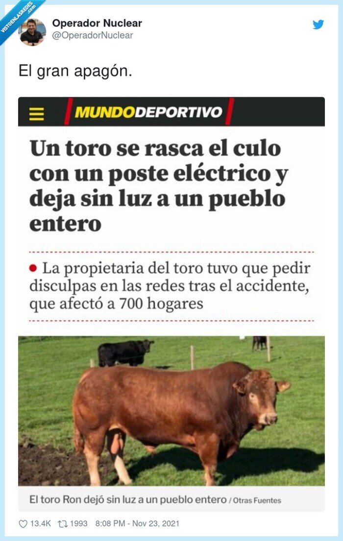 apagón,toro,rascarse,culo,poste