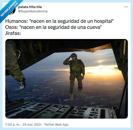 jirafas,nacer,ca&iacute;da