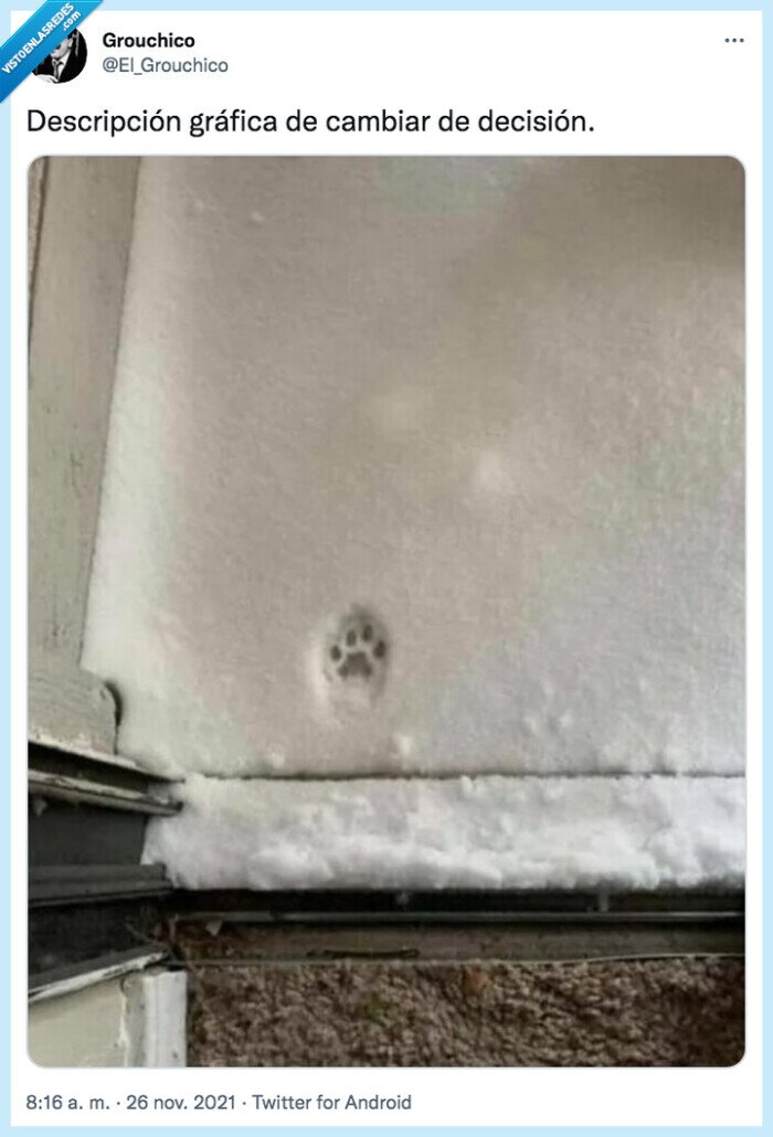 descripción,decisión,gráfica,cambiar,huella,gato,nieve