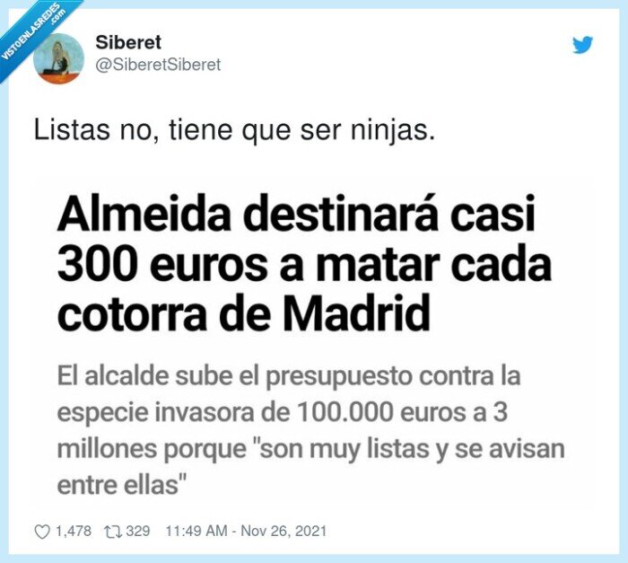 cotorras,almeida,madrid