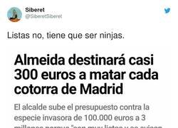 Enlace a 300 pavazos por cotorra y en el parque de al lado tengo un nido con 15 o 20. Que me den un toque si eso y les hago precio, por @SiberetSiberet