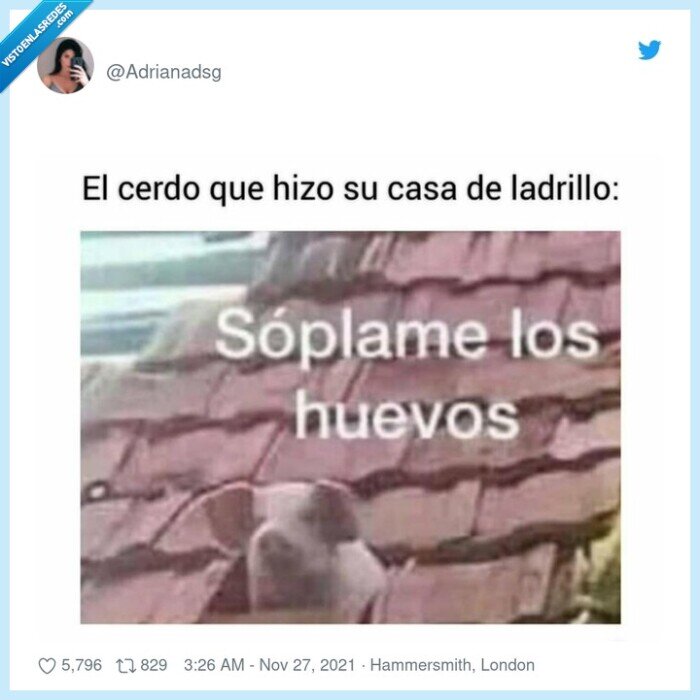 cerdito,ladrillo,pasota