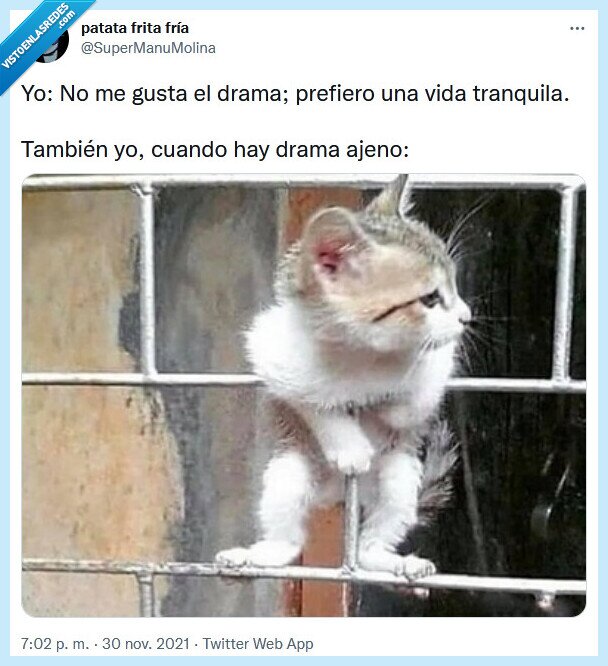 drama,vida,tranquila,ajeno