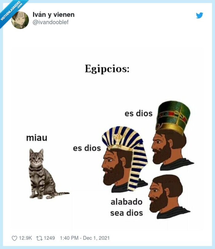 egipcios,gato,adorar,dios