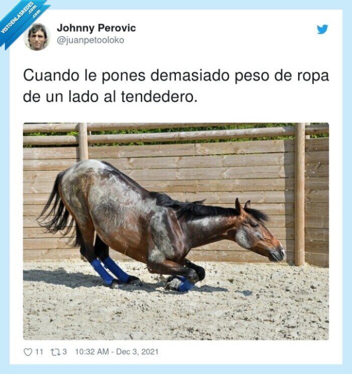 tendedero,ropa,caerse,caballo