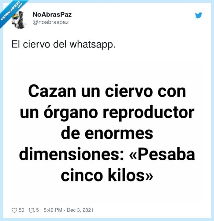 ciervo,huevos,grandes