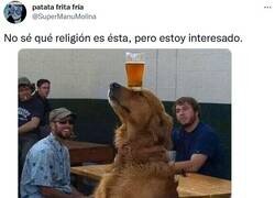 Enlace a Perretes y cerveza, lo tiene todo por @supermanumolina