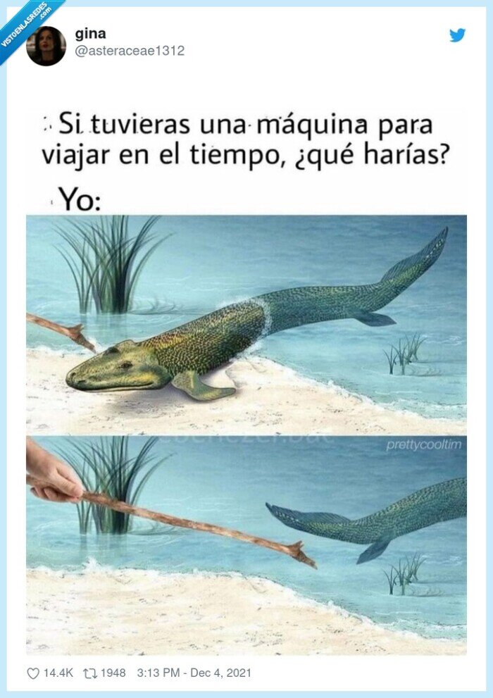 evolución,maquina,viajar en el tiempo