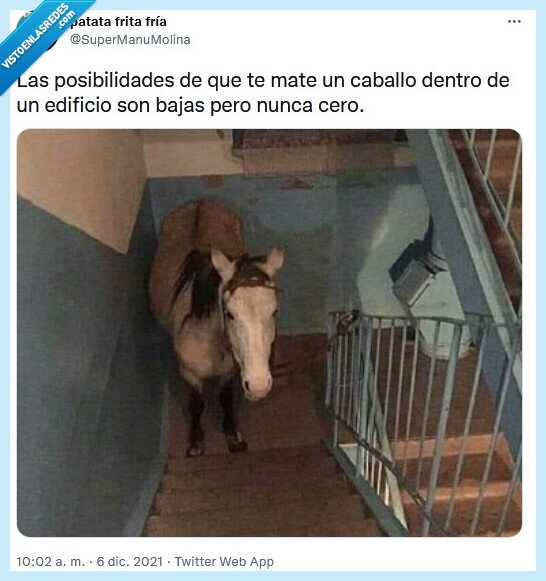 caballo,edificio,matar,posibilidades