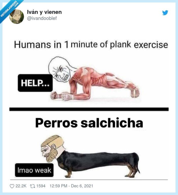 planking,perro salchicha,superado