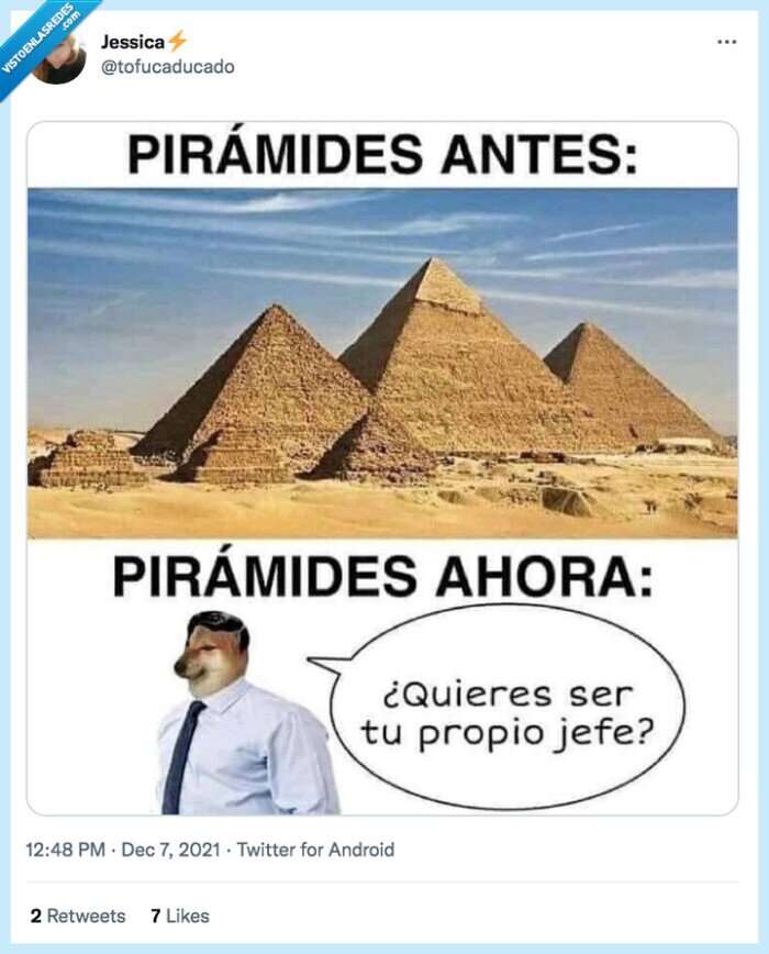 evolución,tu propio jefe,egipto,estafadores
