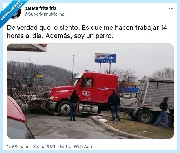 perro,camión,trabajo