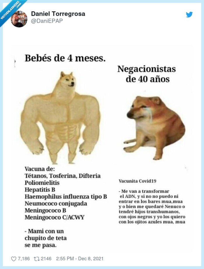 cheems,doge,coronavirus,vacunas