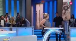 Enlace a El chihuahua en cuestión, por @ferchu_finish