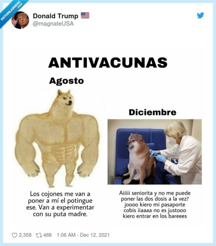 cheems,doge,vacuna,coronavirus
