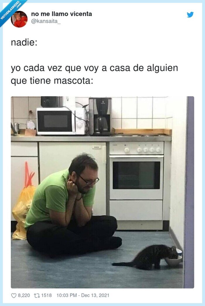 alguien,mascota,amigos,gato,casa