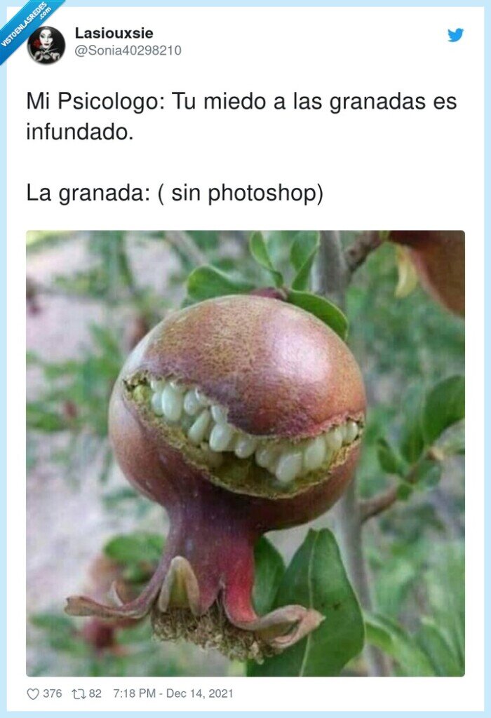 photoshop,psicologo,infundado,granadas,granada,miedo