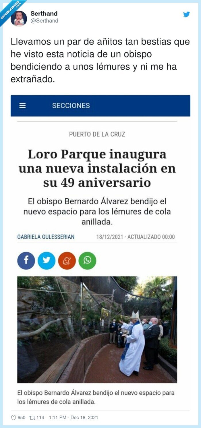 bendecir,extrañado,lémures,obispo