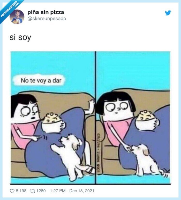 perro,mascota,alimentar