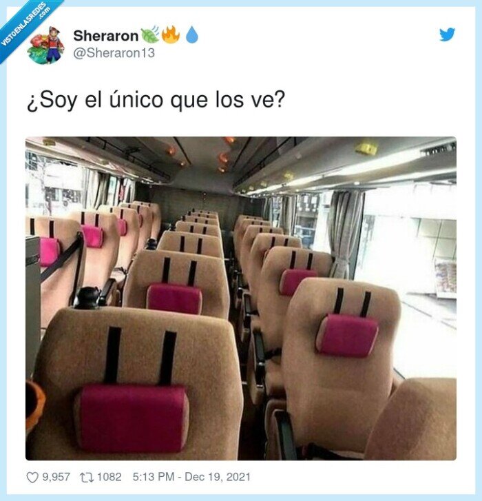 autobús,diglett,pokemon