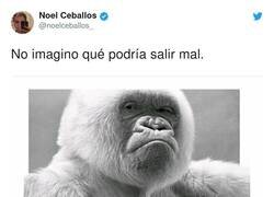 Enlace a Yo solo digo que mi ciudad merece ese gorila de tres metros. Que la IA tome las riendas del bicho y que pase lo que pase, por @noelceballos_