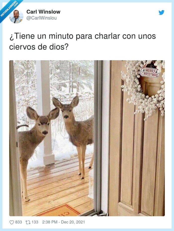 ciervos,charlar,minuto