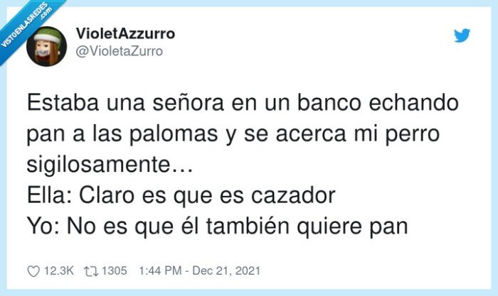 sigilosamente…,palomas,señora,echando,cazador,perro