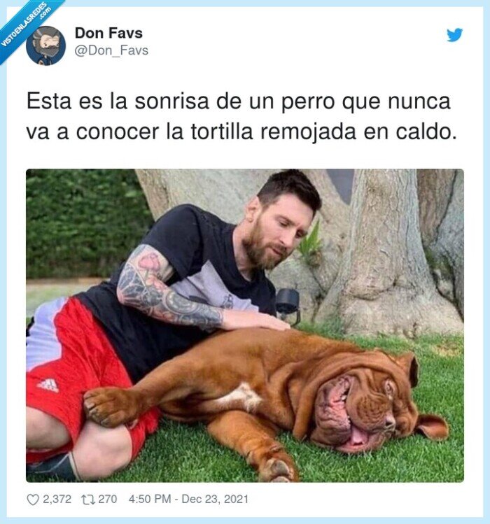 tortilla,remojada,sonrisa,conocer,perro,messi