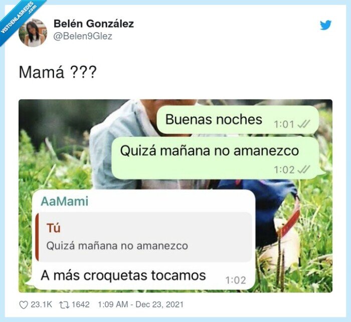 mamá,sinceridad,croquetas,trasnochar