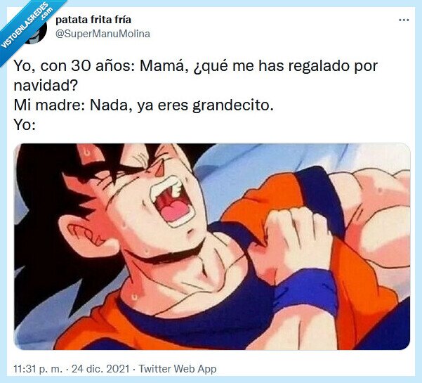 regalar,adulto,navidad,madre,dragon ball,goku