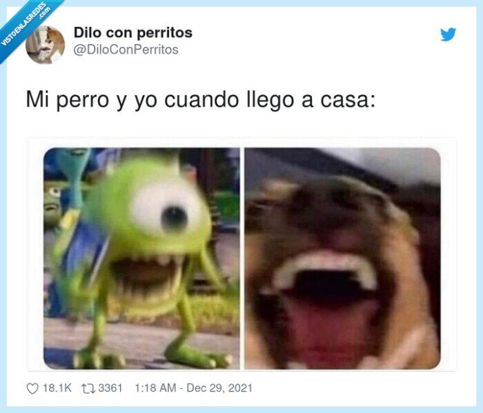 perro,llegar,casa